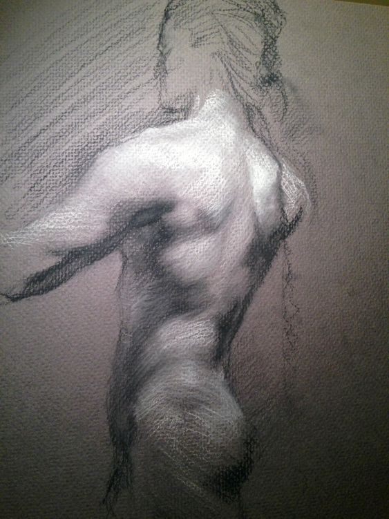 Study of a male torso